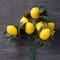 Artificial Lemon Bushes by Ashland&#xAE;